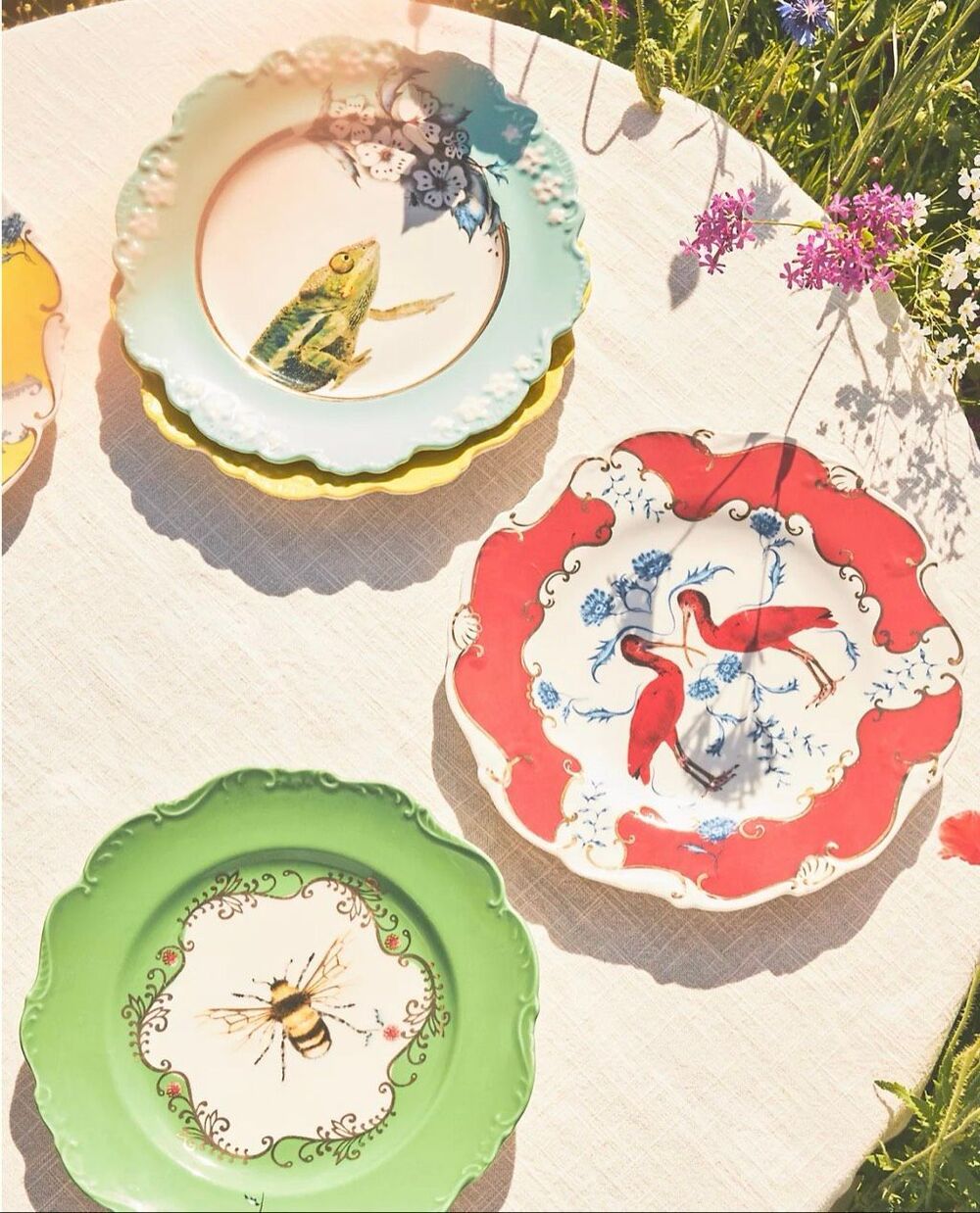 Nwot Anthropologie the Lou Rota Mother Nature Dessert Plate in the Scarlett Ibis